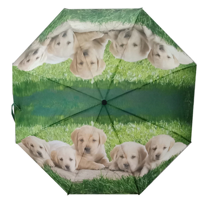 DIY Diseño personalizado Libélula Animal Patrón Tres paraguas plegables con revestimiento negro