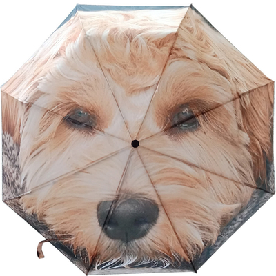DIY Diseño personalizado Libélula Animal Patrón Tres paraguas plegables con revestimiento negro