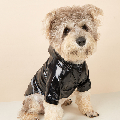Proteja a su mascota de la lluvia y manténgase a salvo PVC Reflector personalizado para perros impermeable para viajar