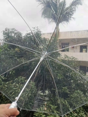 Producto de paraguas de plástico Paraguas abiertos automáticamente Parapluie personalizado POE recto Paraguas transparentes