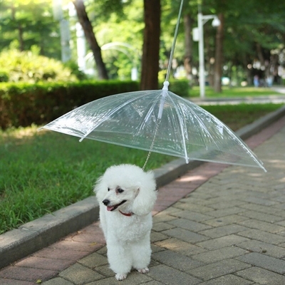 Paraguas de plástico para mascotas transparentes blancas con mango de aluminio